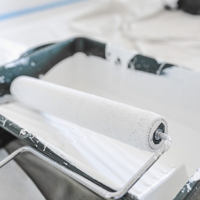 Roller loaded with paint